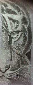 Alnani